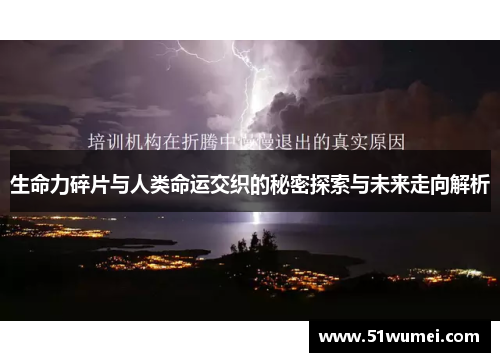 生命力碎片与人类命运交织的秘密探索与未来走向解析